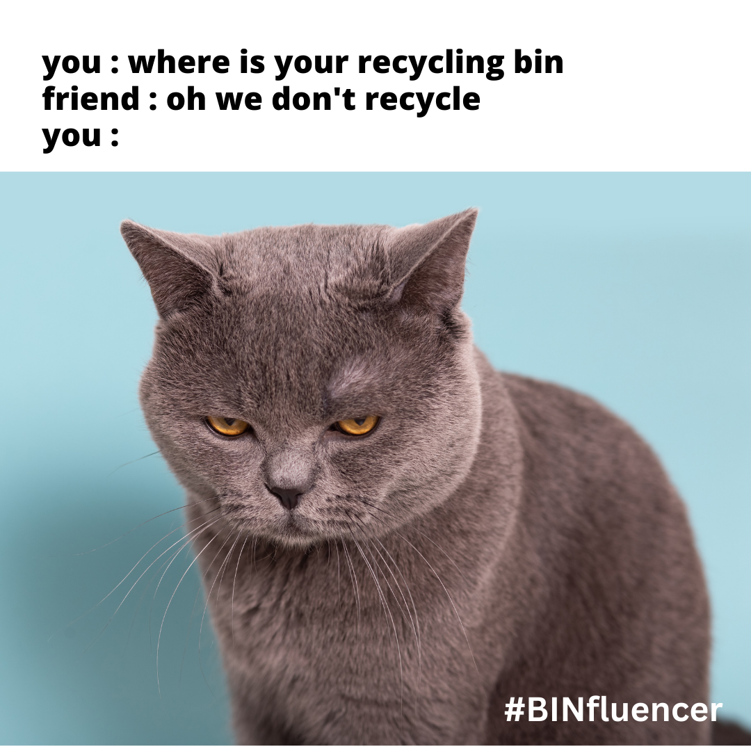 BINfluencer Meme - Why no recycle